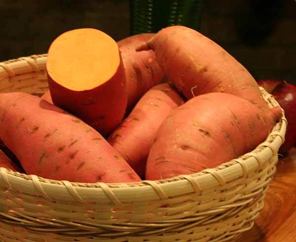 New study finds that orange sweet potato reduces diarrhea in children 